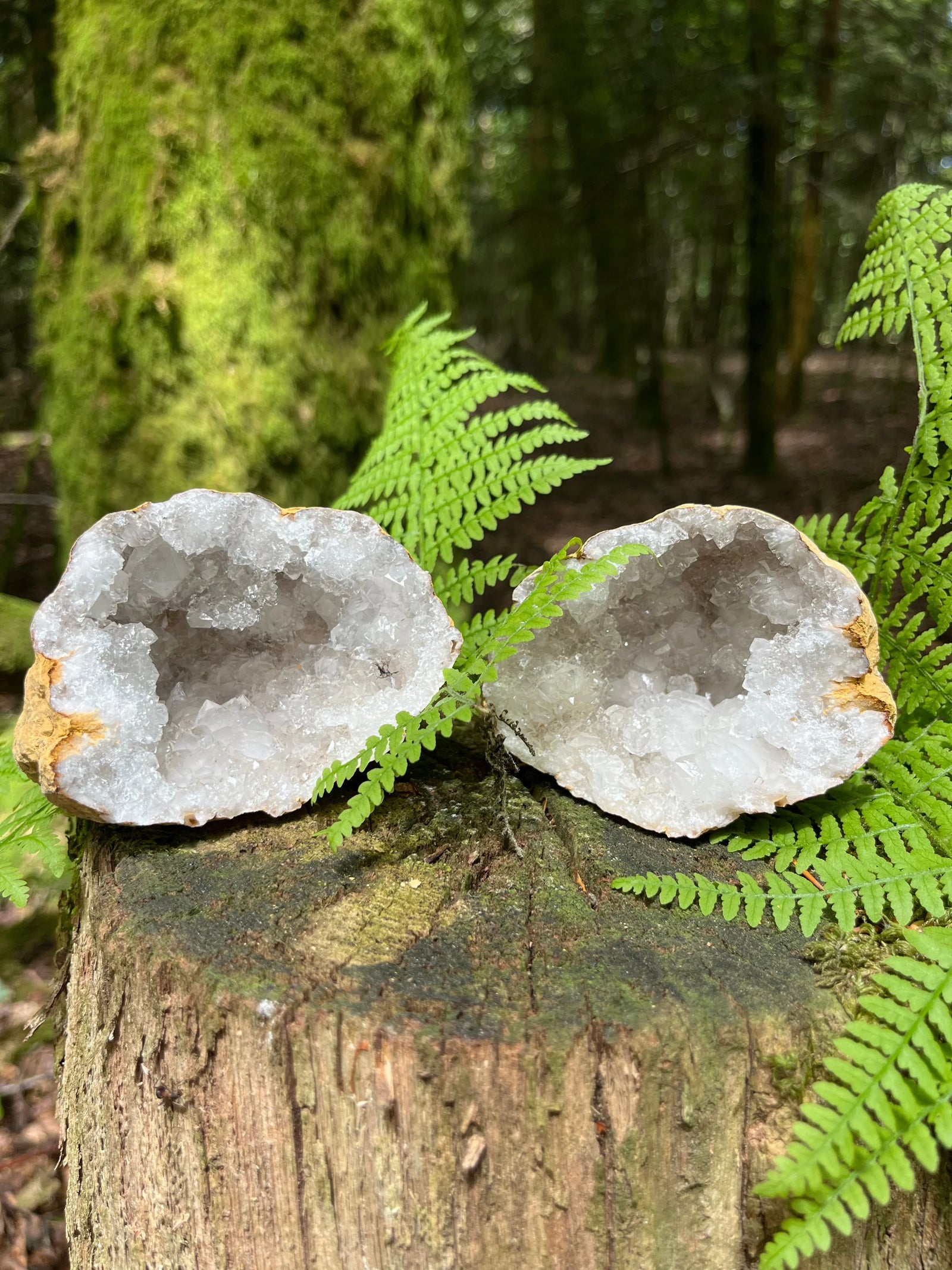 Les cristaux coup de coeur ❤