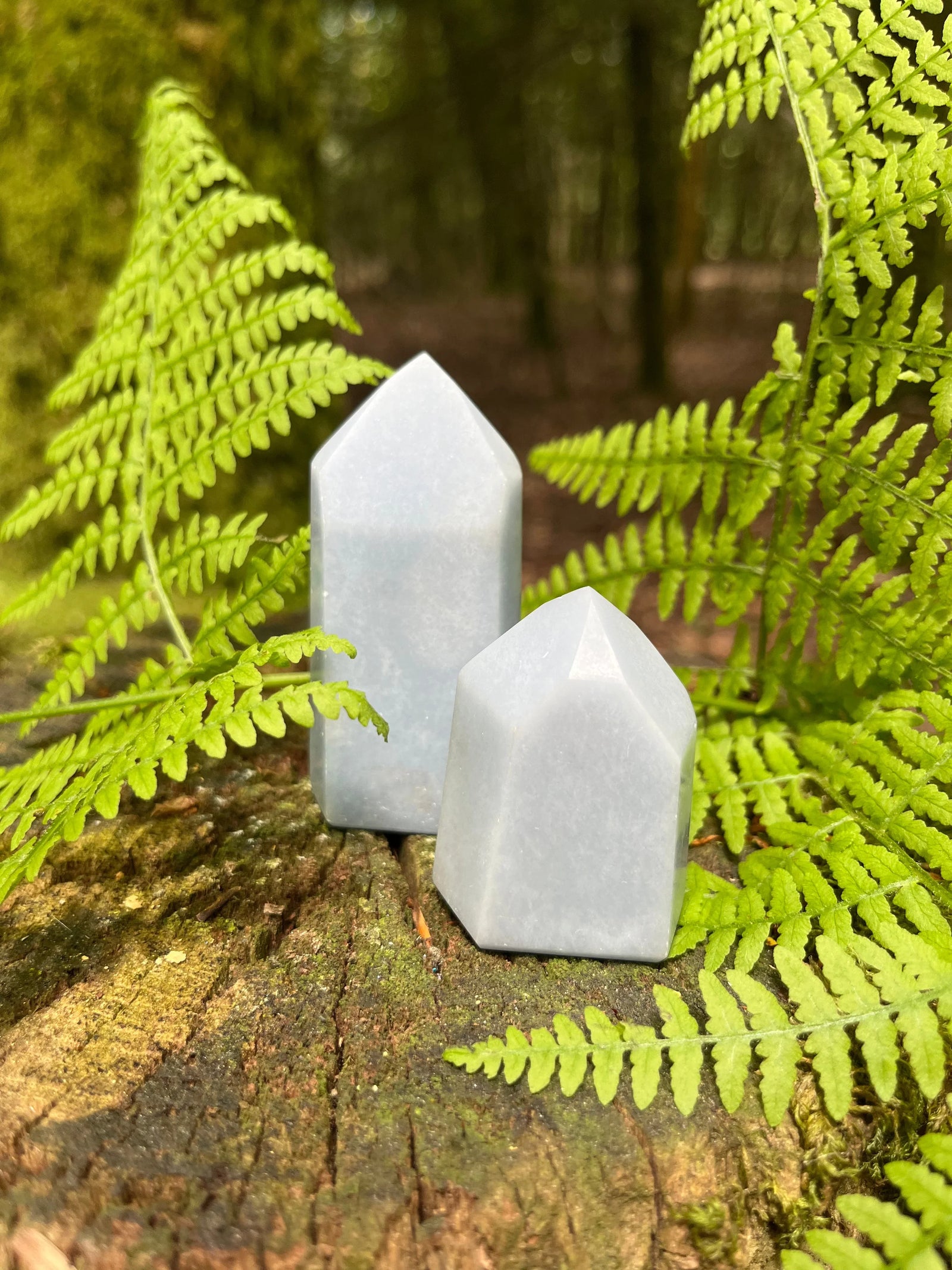 Les pointes & prismes