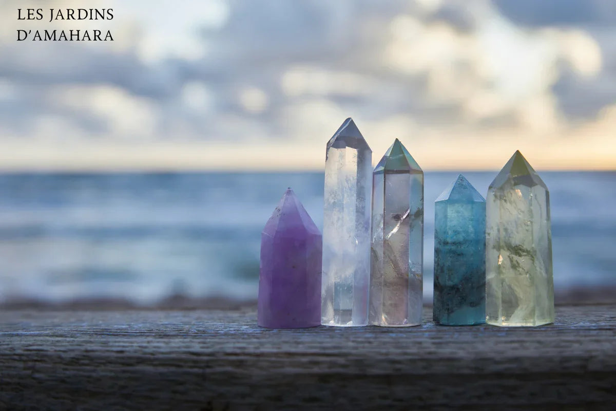 Nos promotions du moment