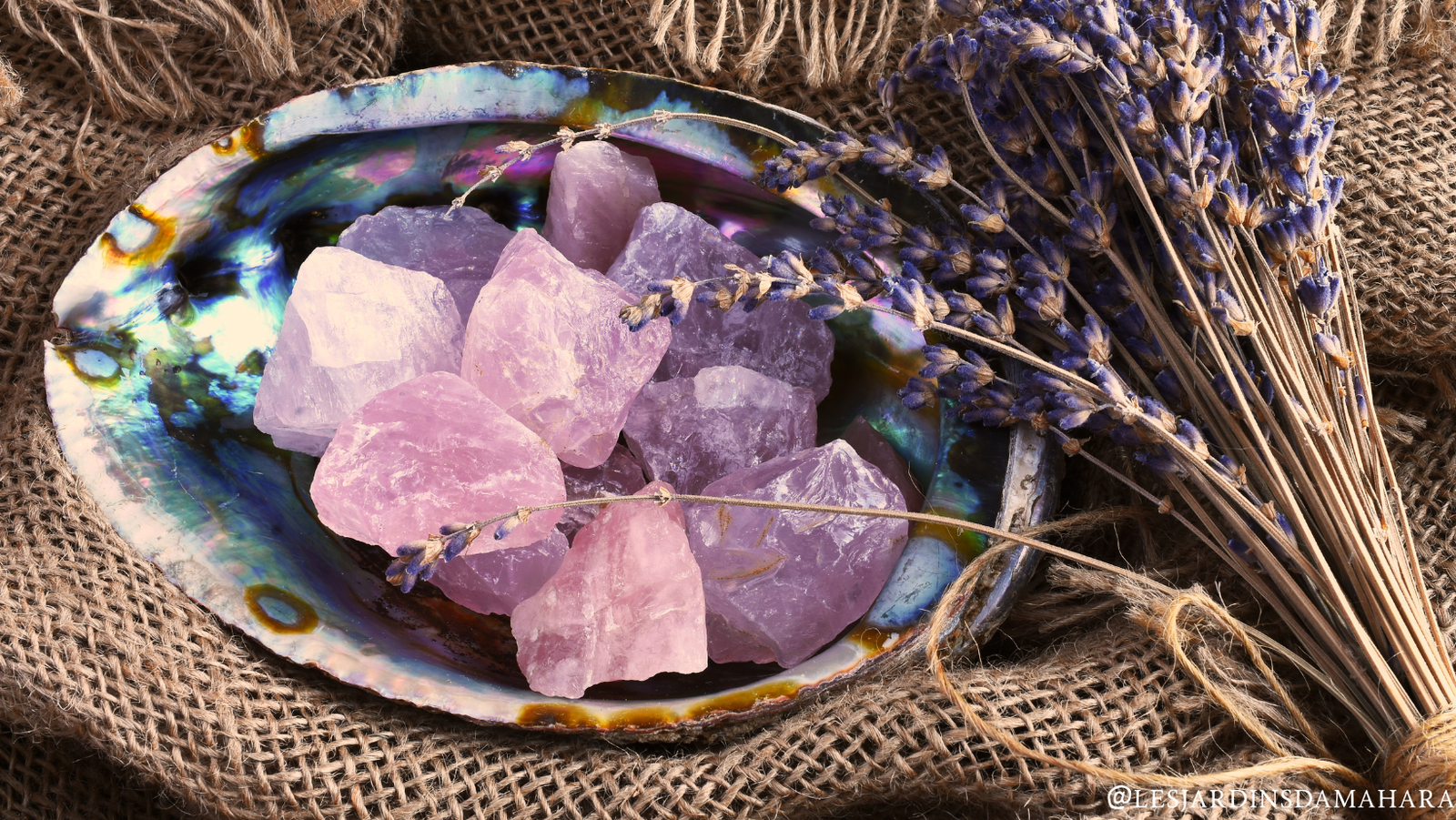 Force intérieure & Hypersensibilité